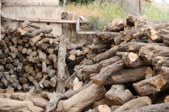 Olive-Wood-Firas-Hawash7