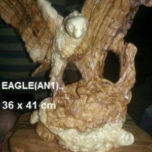 Eagle