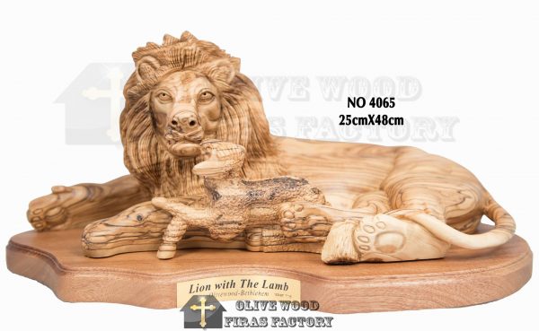 Lion New Model 2018 - Image 4